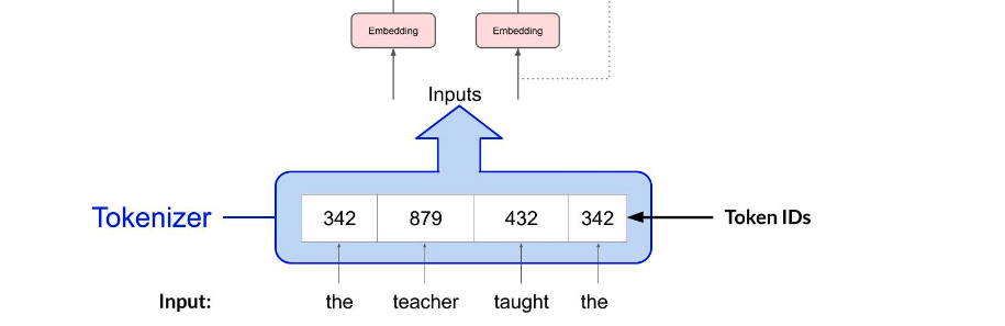 image-20260211092246283